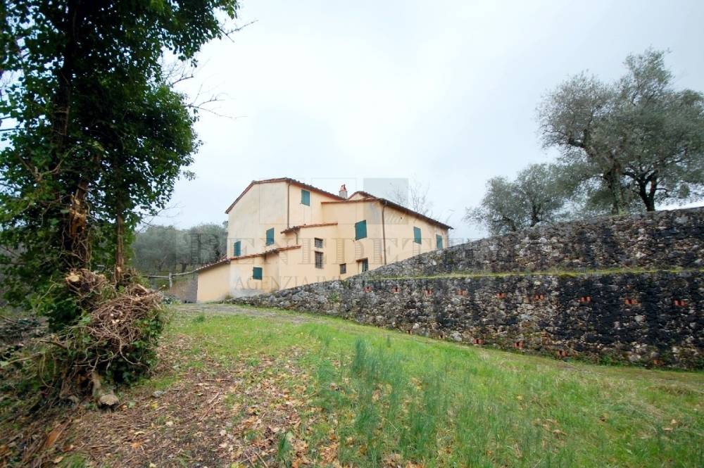 immagine annuncio 3 di 13
