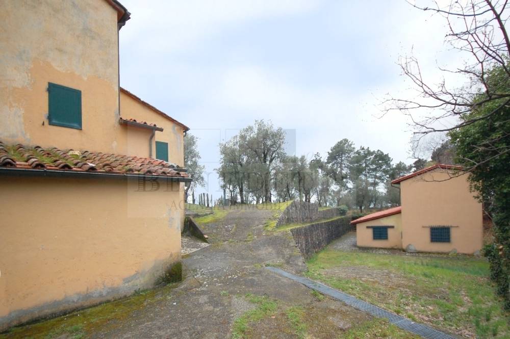 immagine annuncio 8 di 13