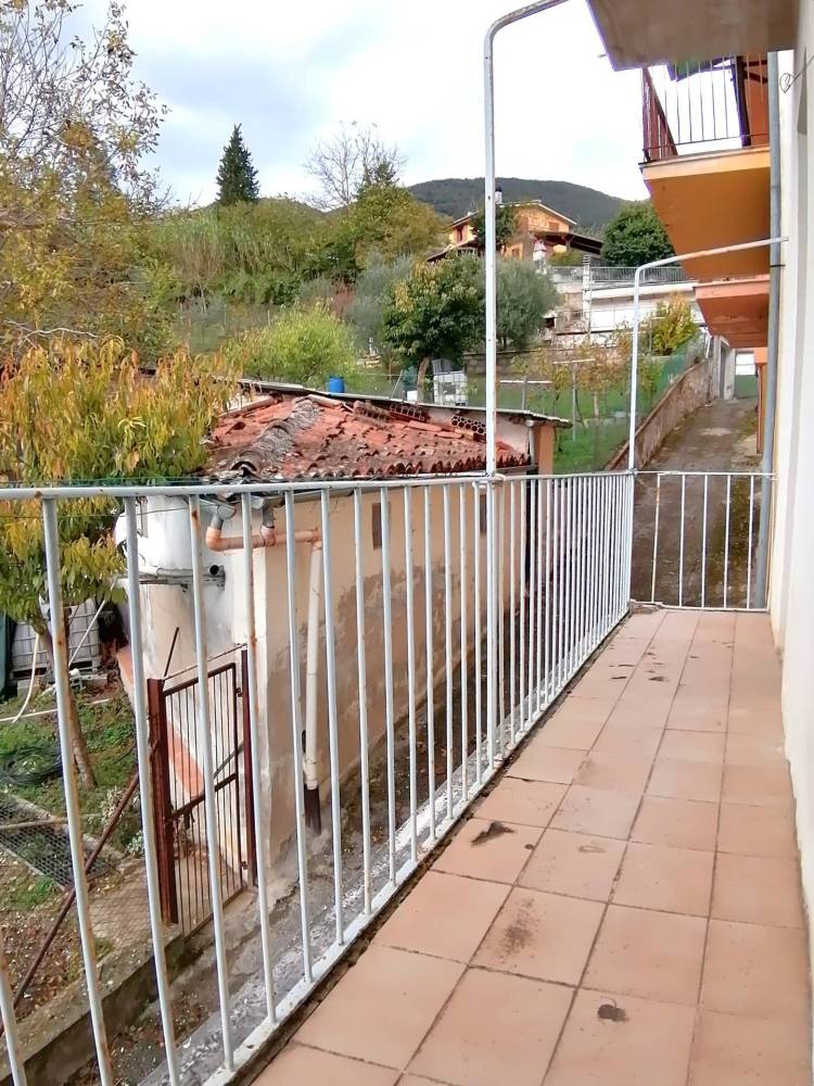 immagine annuncio 3 di 13