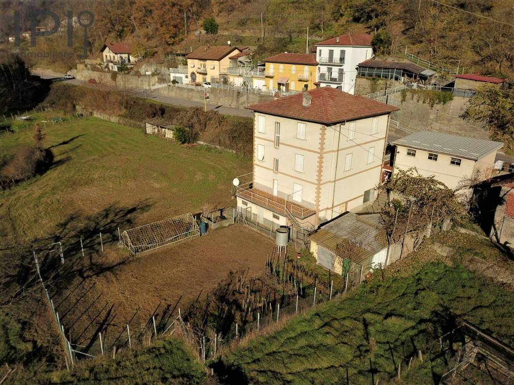 immagine annuncio 10 di 14
