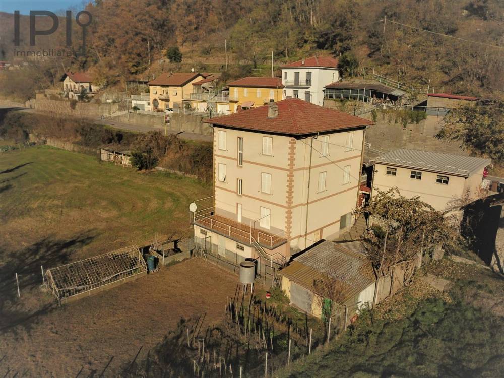 immagine annuncio 9 di 14