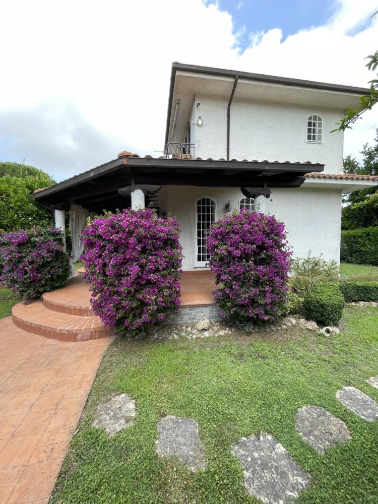 immagine annuncio 6 di 14
