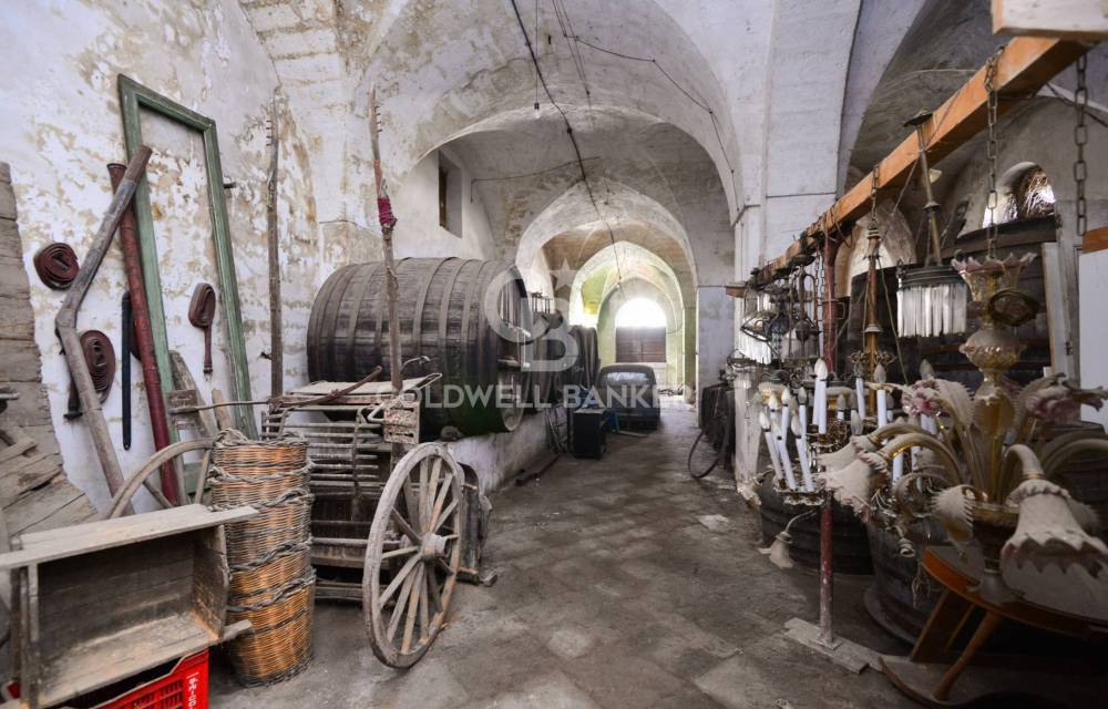 immagine annuncio 11 di 13