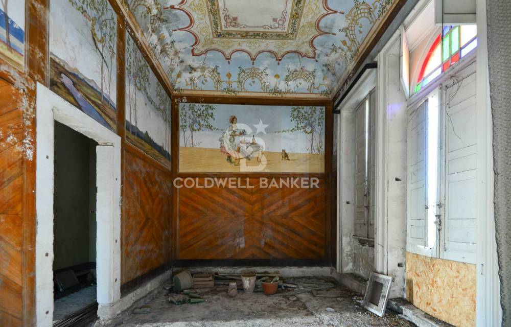 immagine annuncio 3 di 13