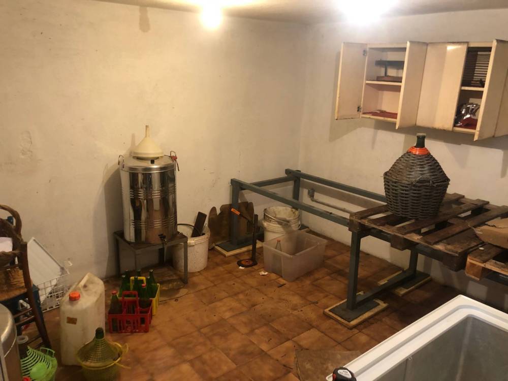 immagine annuncio 12 di 13