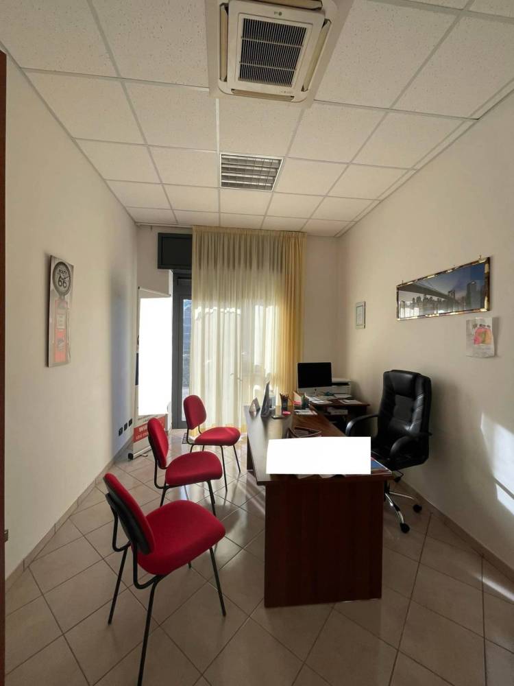 immagine annuncio 8 di 12