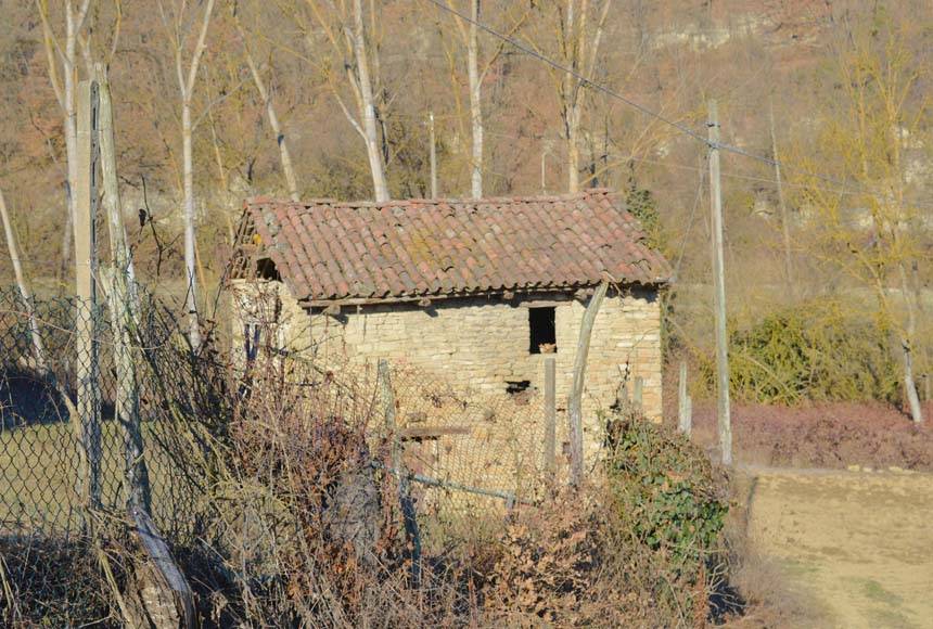 immagine annuncio 9 di 13