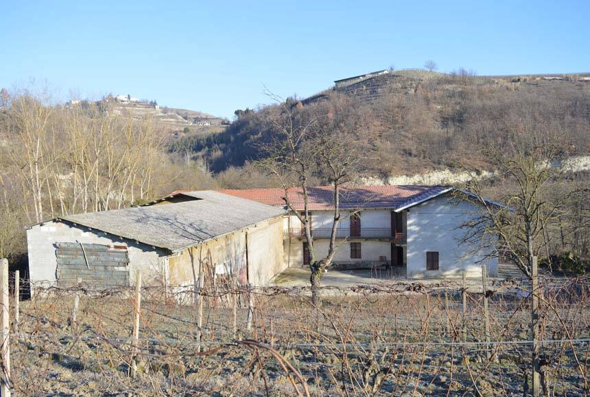immagine annuncio 4 di 13