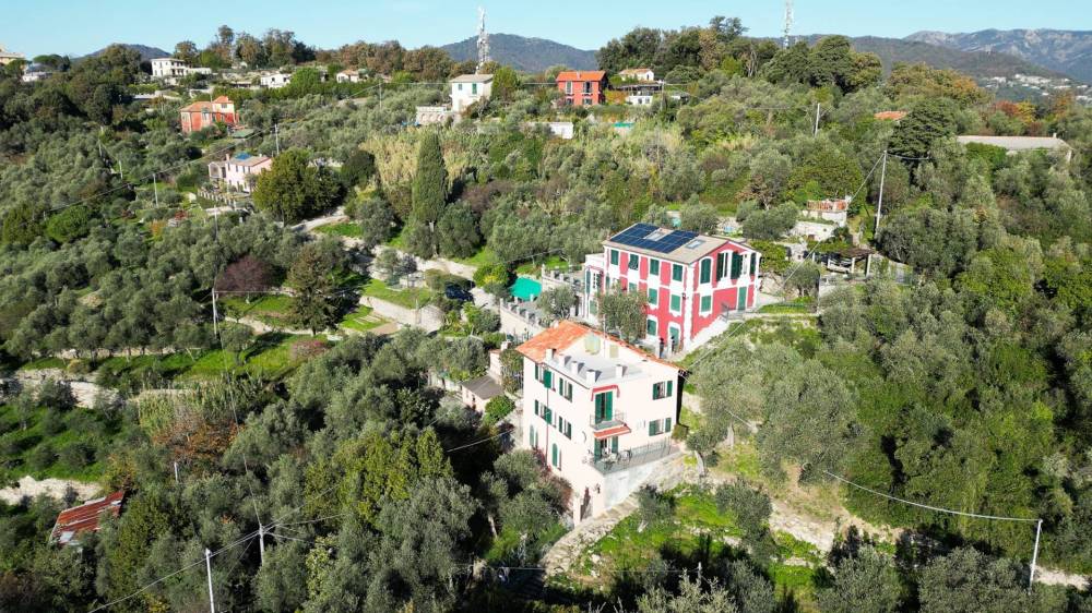 immagine annuncio 7 di 11