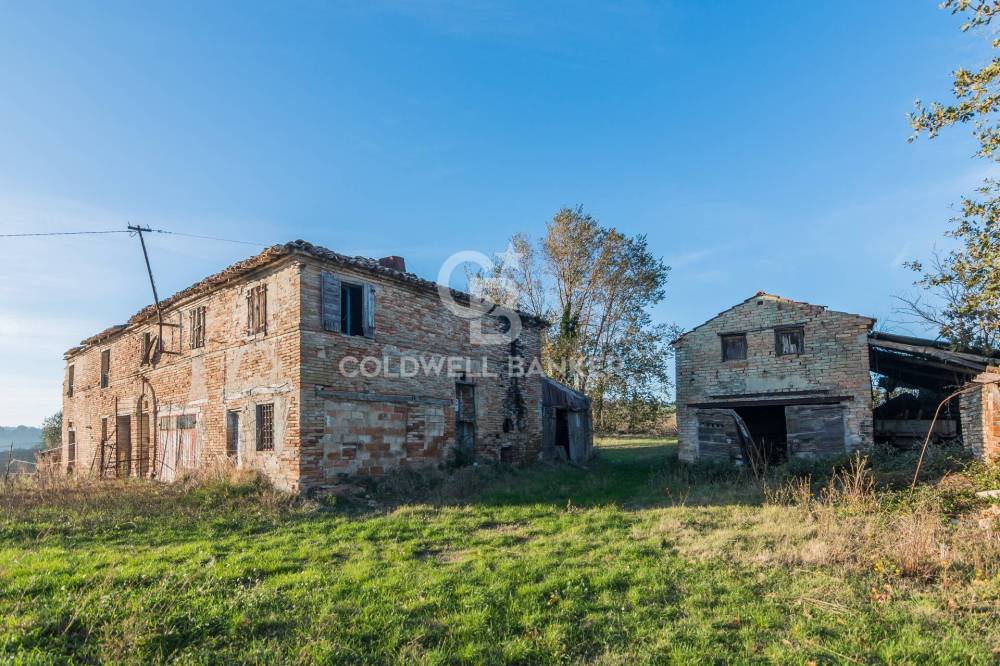 immagine annuncio 4 di 11