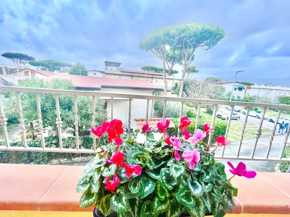 immagine annuncio 3 di 14