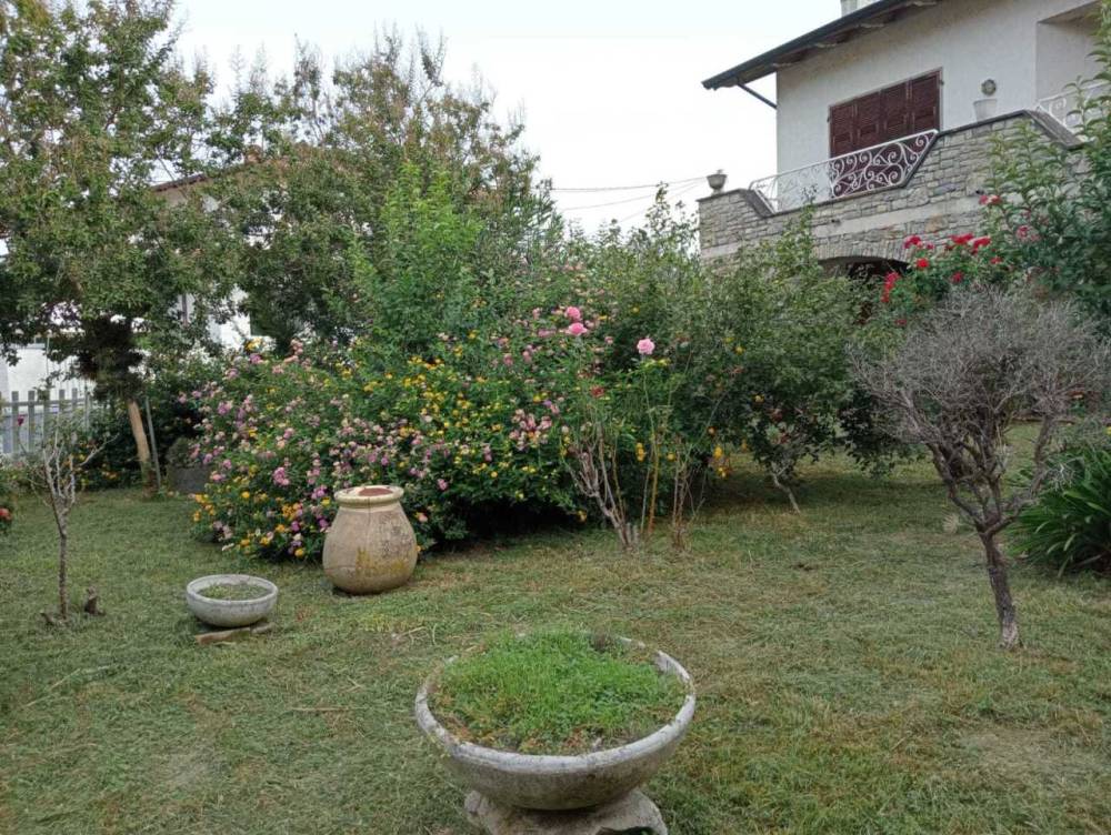immagine annuncio 2 di 13