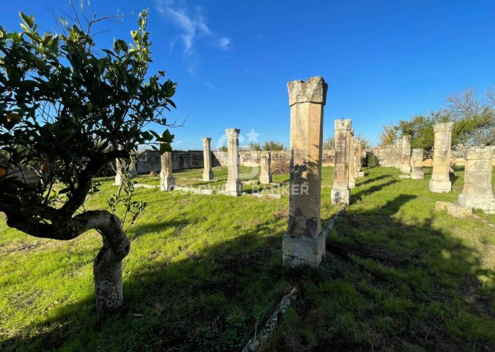 immagine annuncio 3 di 13