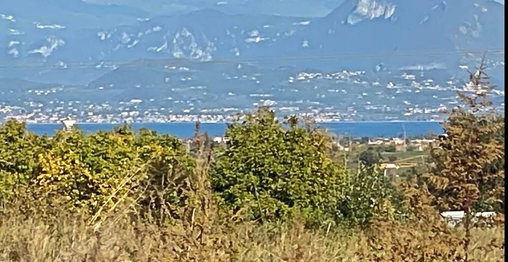 immagine annuncio 12 di 14