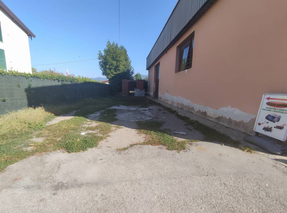 immagine annuncio 5 di 11