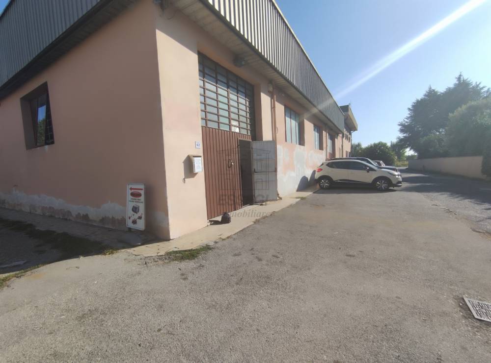 immagine annuncio 9 di 11