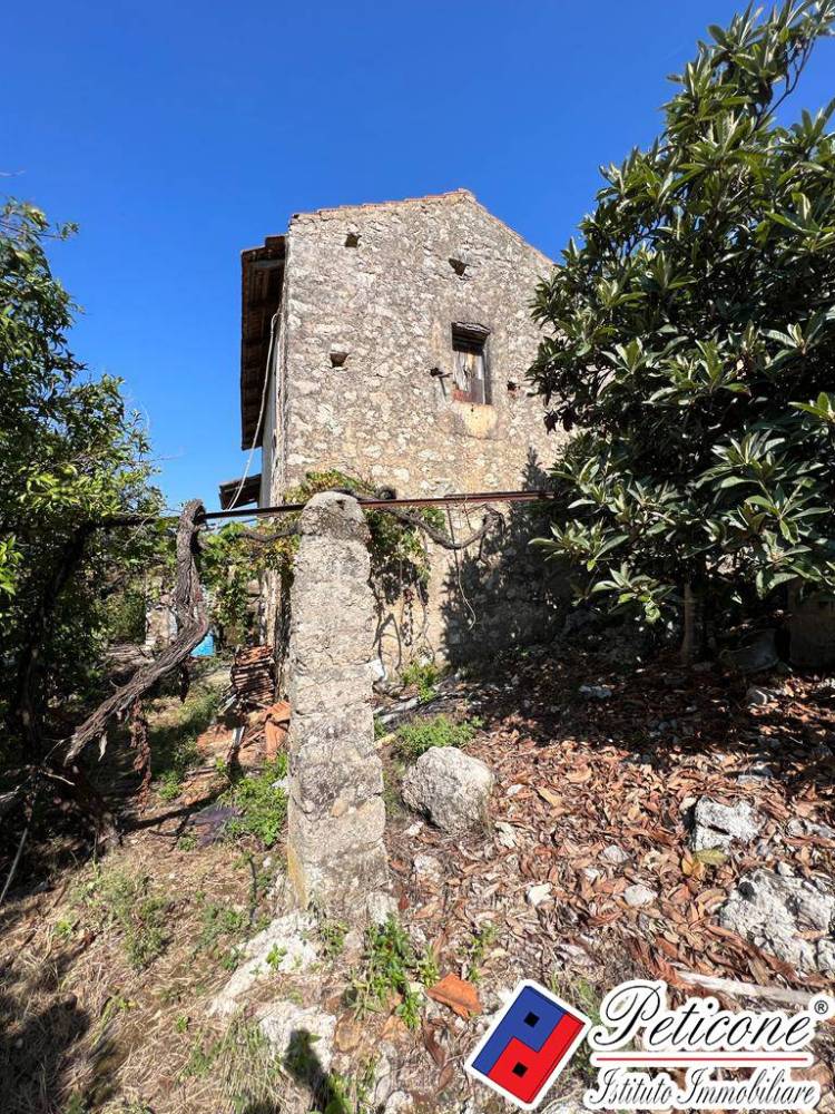immagine annuncio 5 di 8