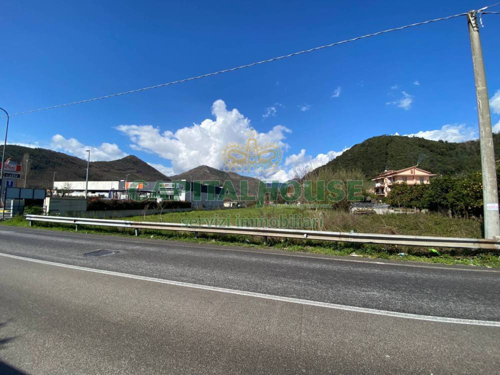 immagine annuncio 1 di 4