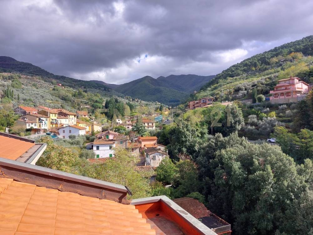 immagine annuncio 2 di 13