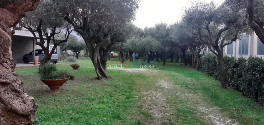 immagine annuncio 9 di 13