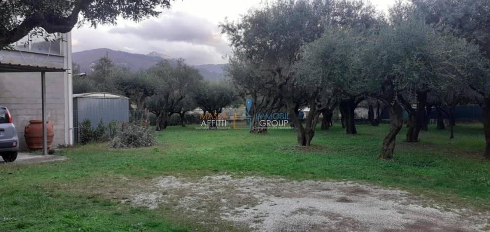 immagine annuncio 12 di 13