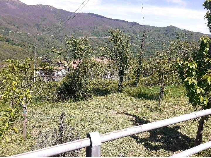 immagine annuncio 2 di 13