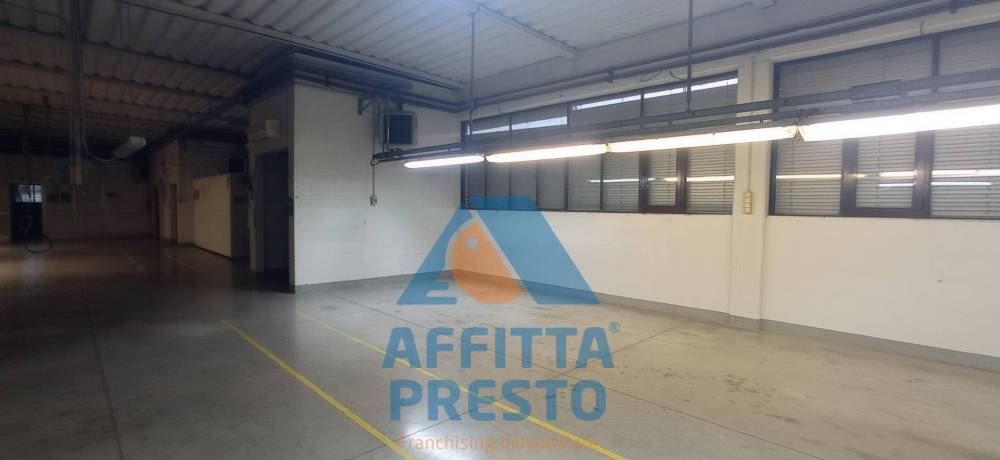 immagine annuncio 2 di 13