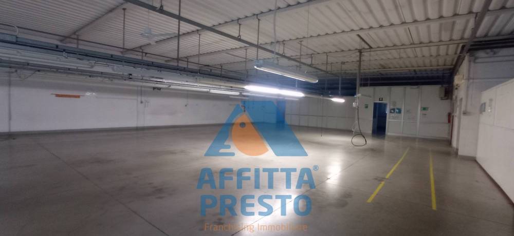 immagine annuncio 3 di 13