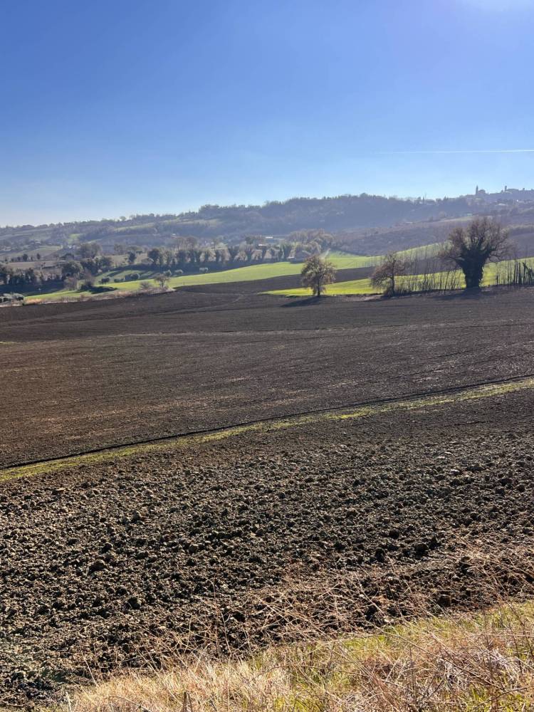 immagine annuncio 11 di 13