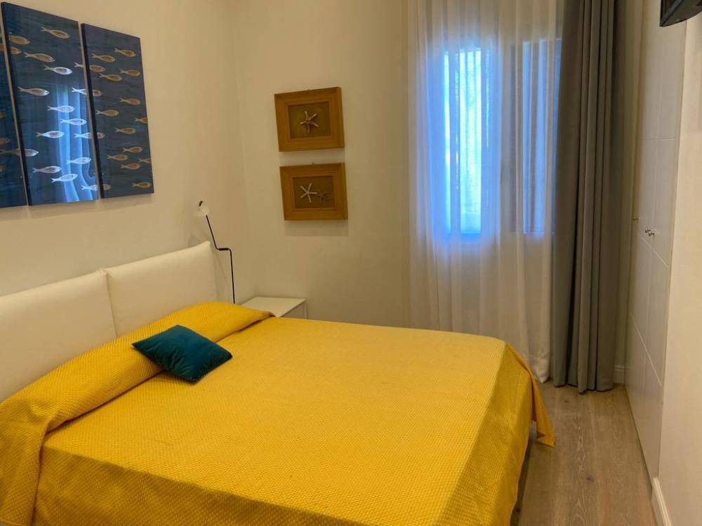 immagine annuncio 9 di 13