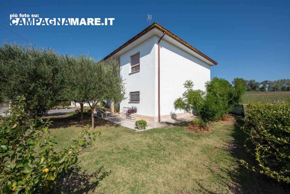 immagine annuncio 2 di 13