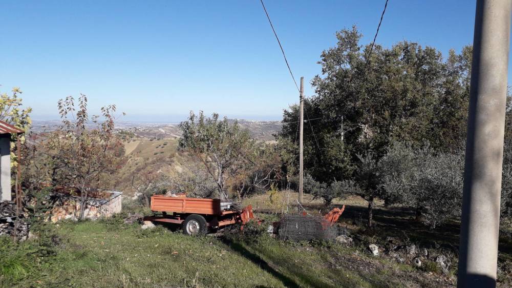 immagine annuncio 4 di 10