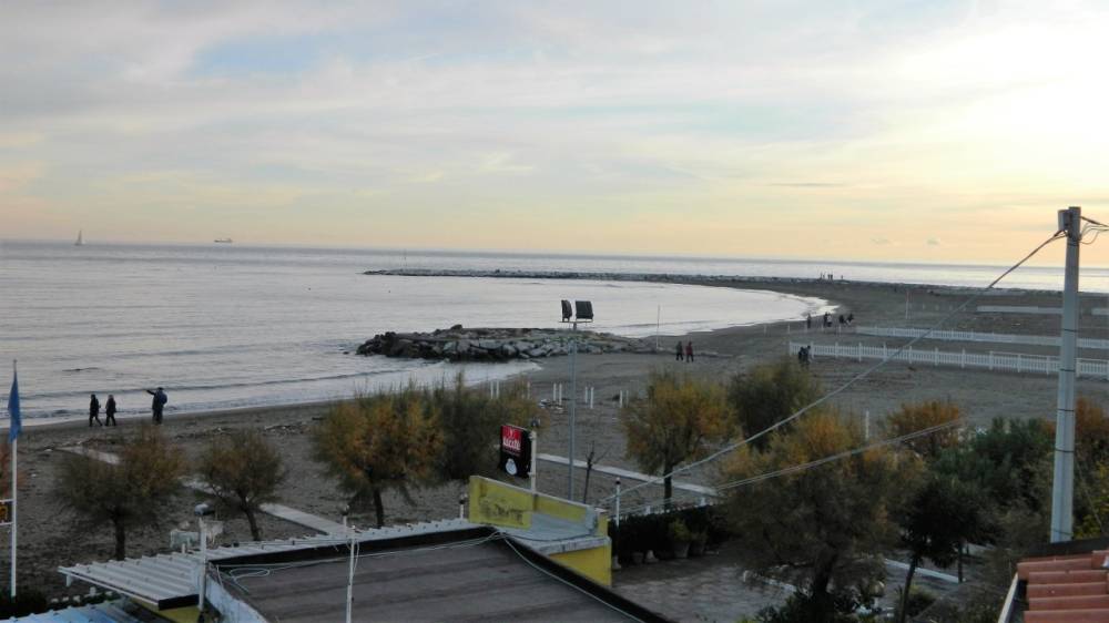 immagine annuncio 11 di 12