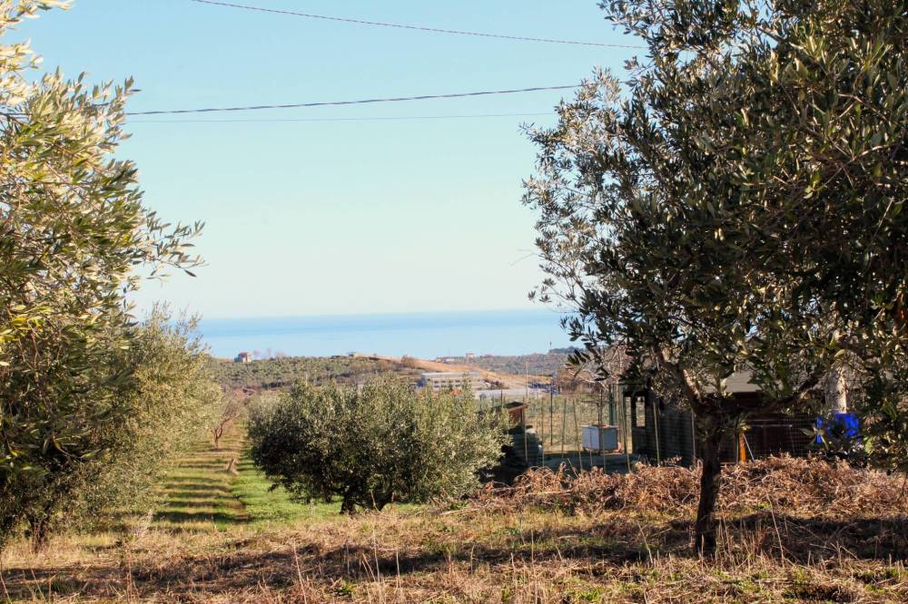 immagine annuncio 2 di 13