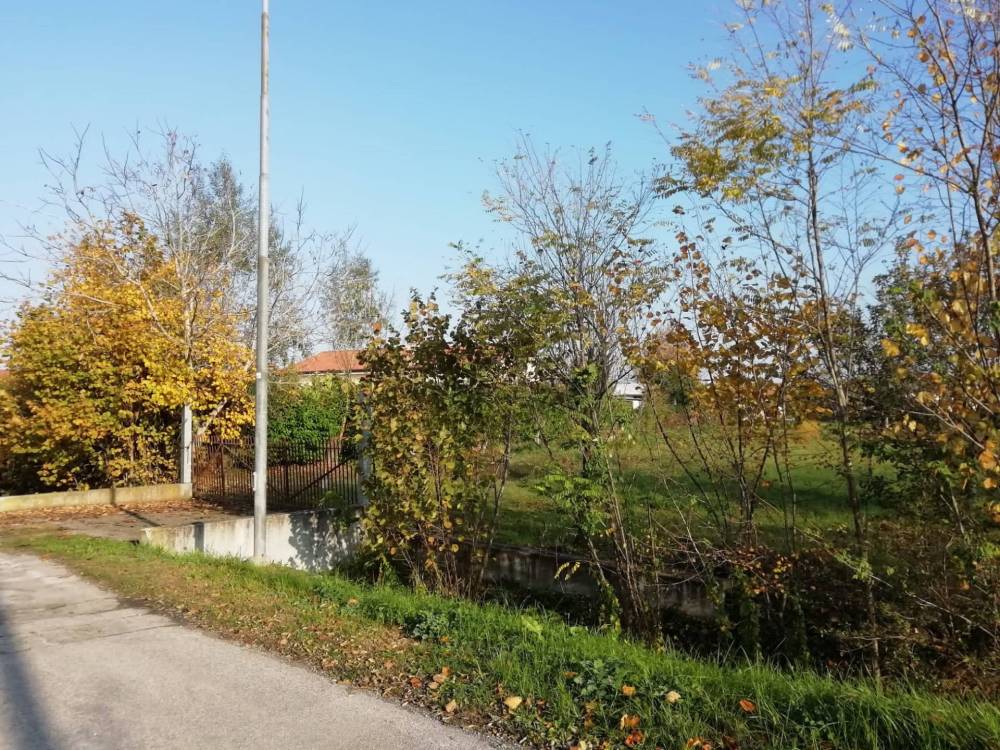 immagine annuncio 5 di 7