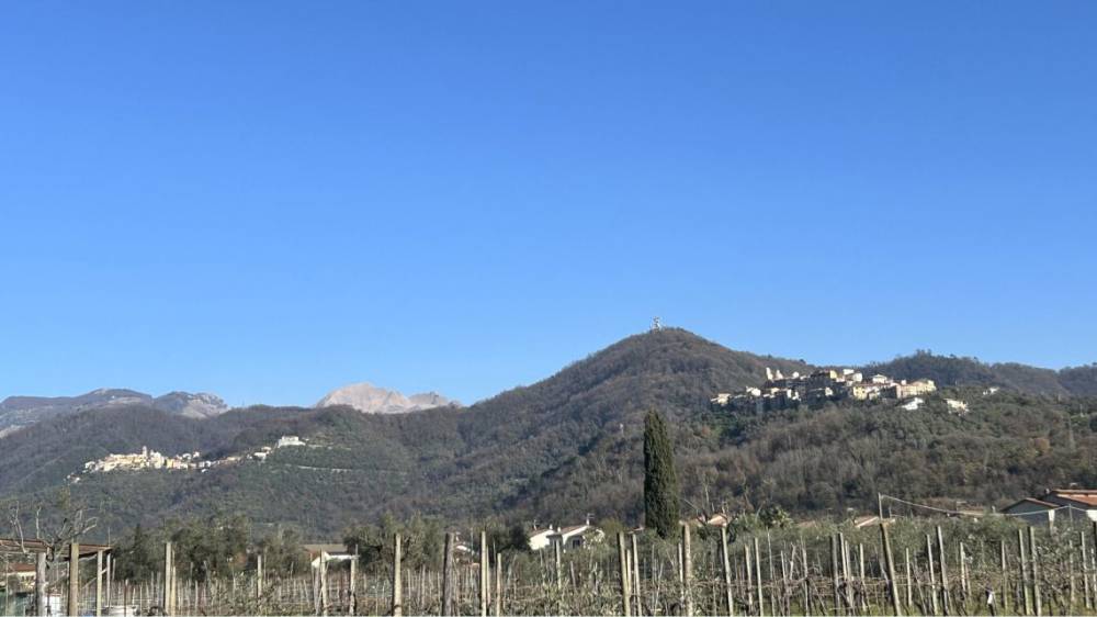 immagine annuncio 2 di 13