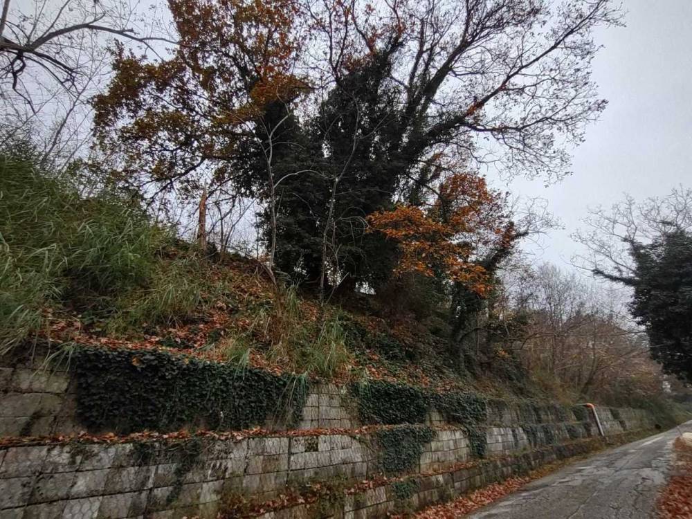 immagine annuncio 3 di 13