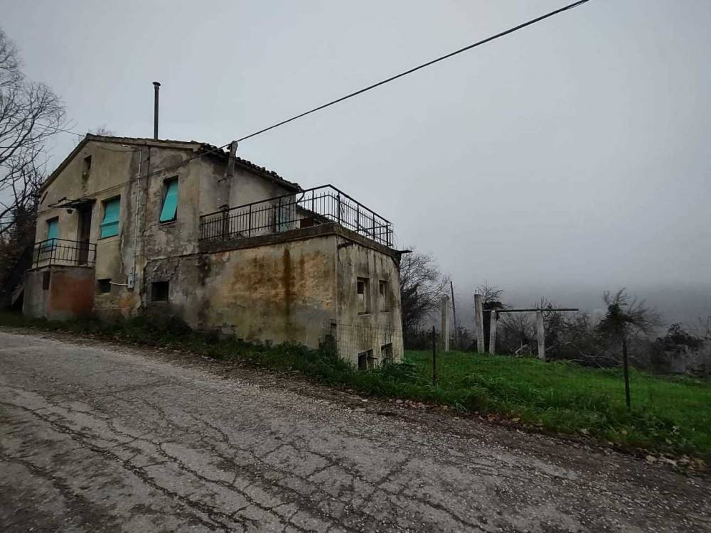 immagine annuncio 4 di 13