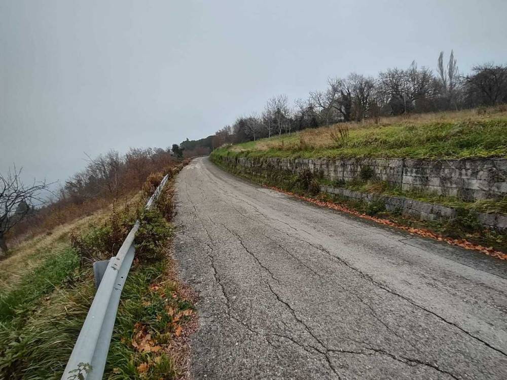 immagine annuncio 6 di 13