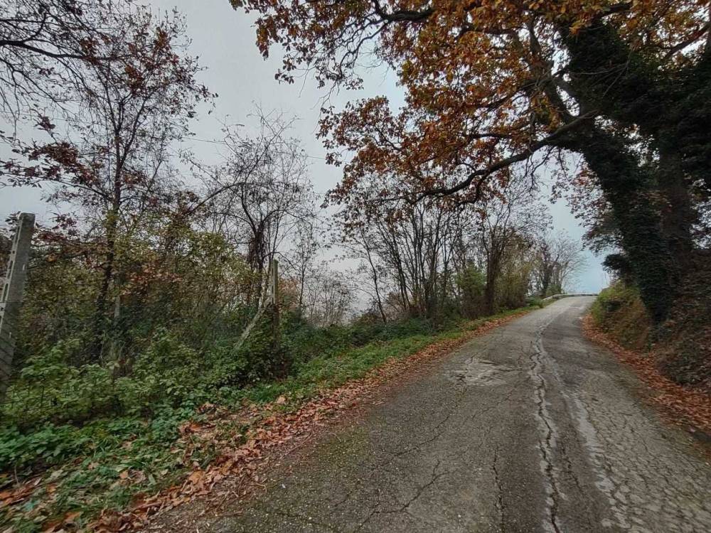 immagine annuncio 9 di 13