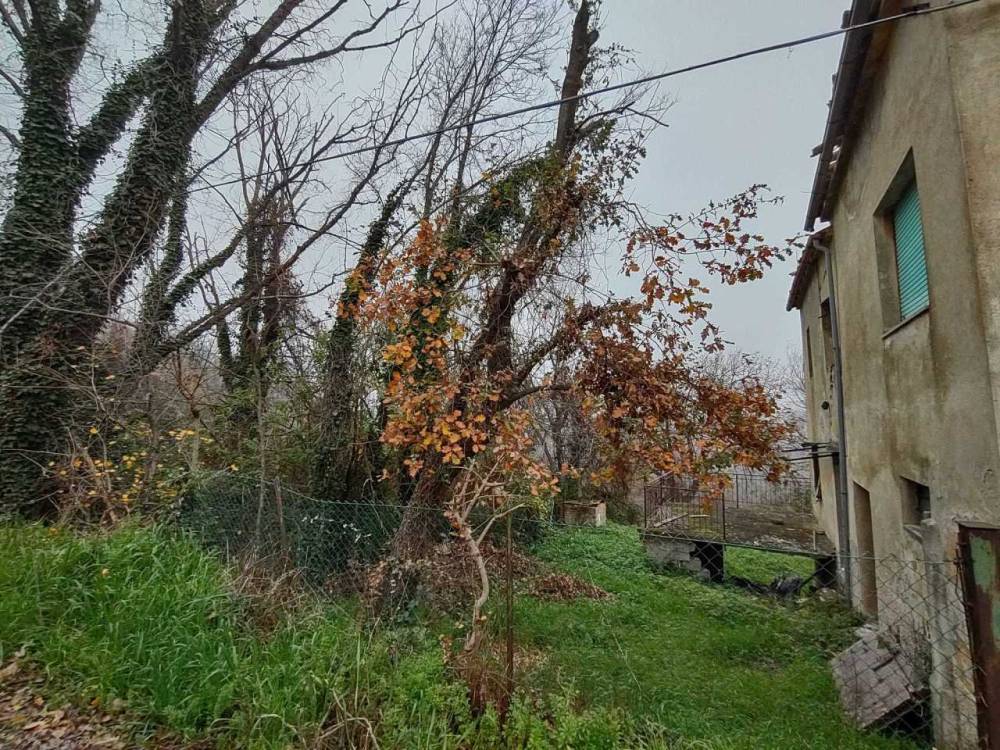 immagine annuncio 11 di 13