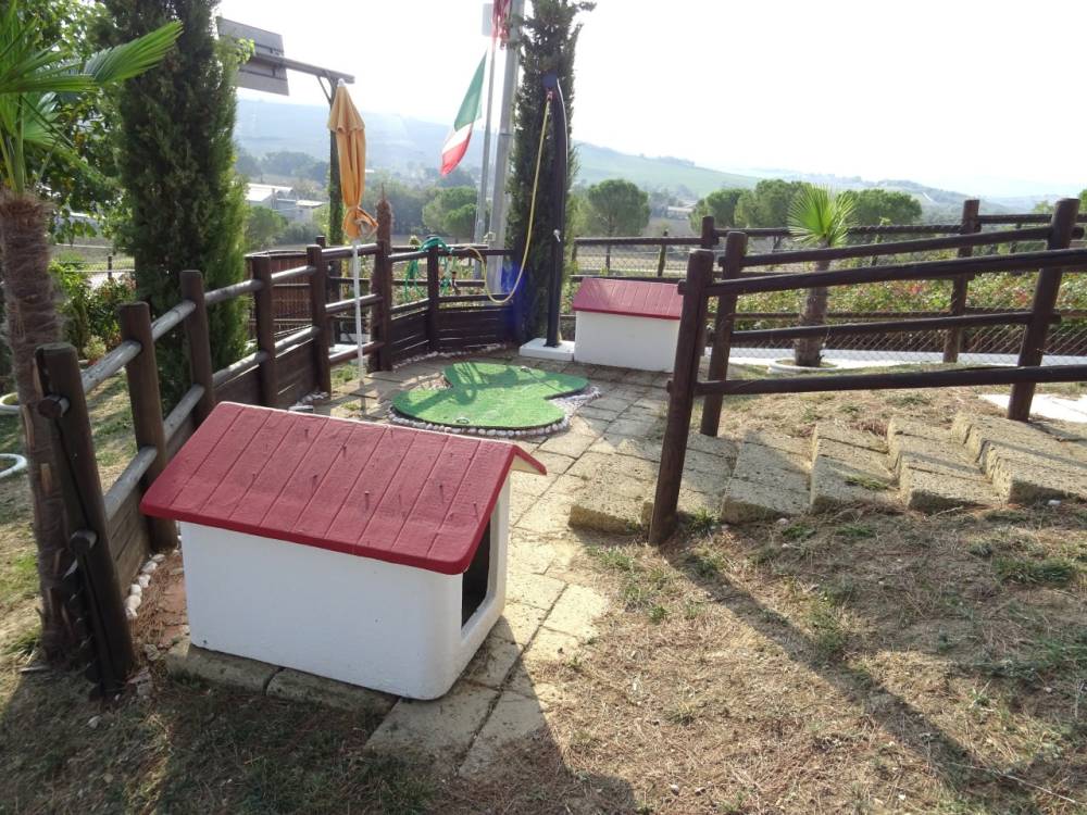 immagine annuncio 2 di 13