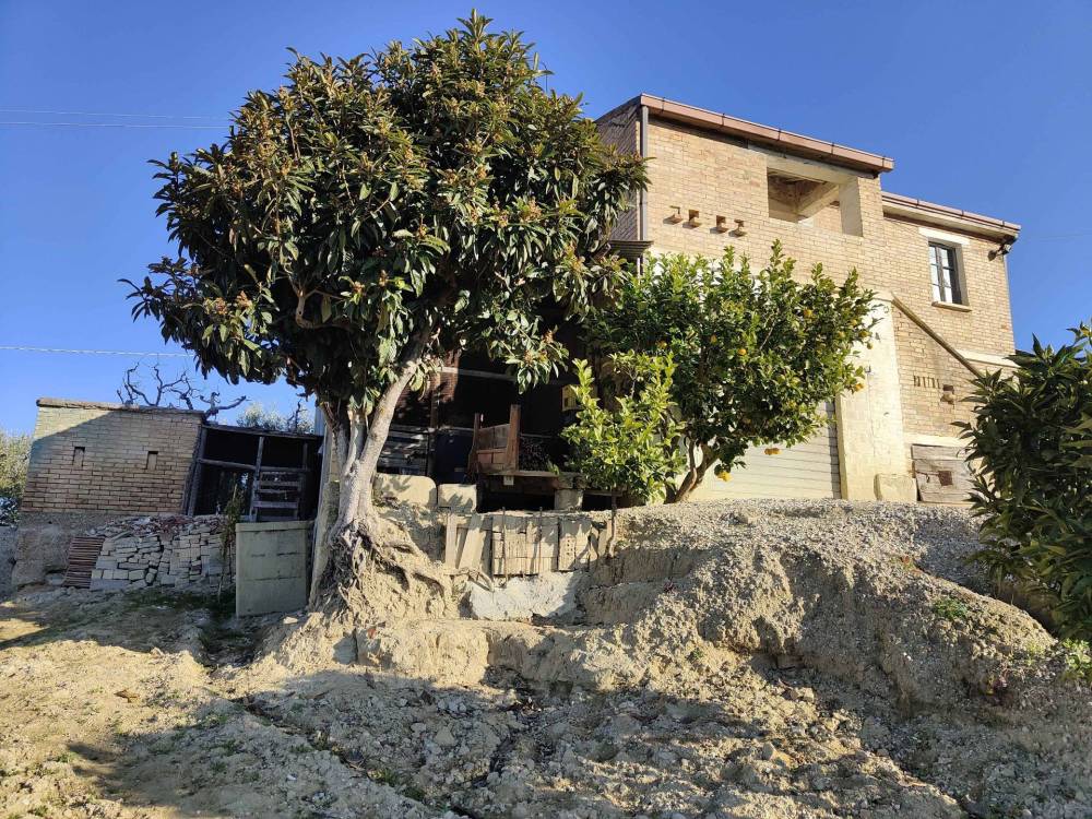 immagine annuncio 6 di 13