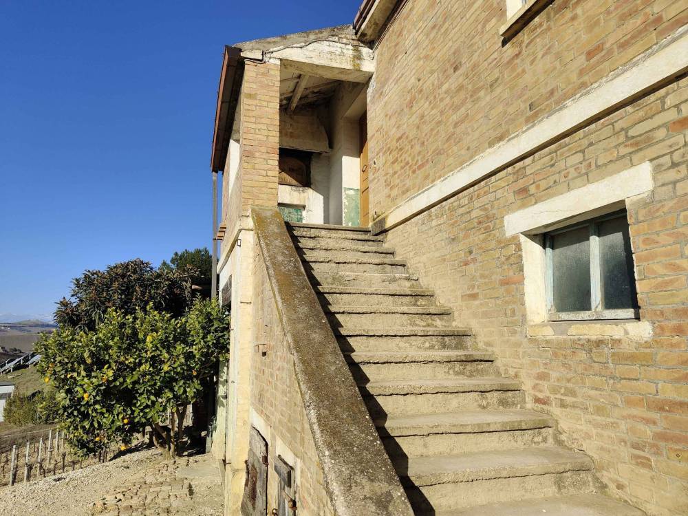 immagine annuncio 12 di 13