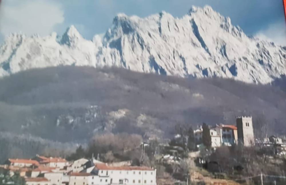 immagine annuncio 7 di 13