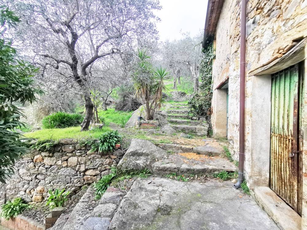 immagine annuncio 6 di 13