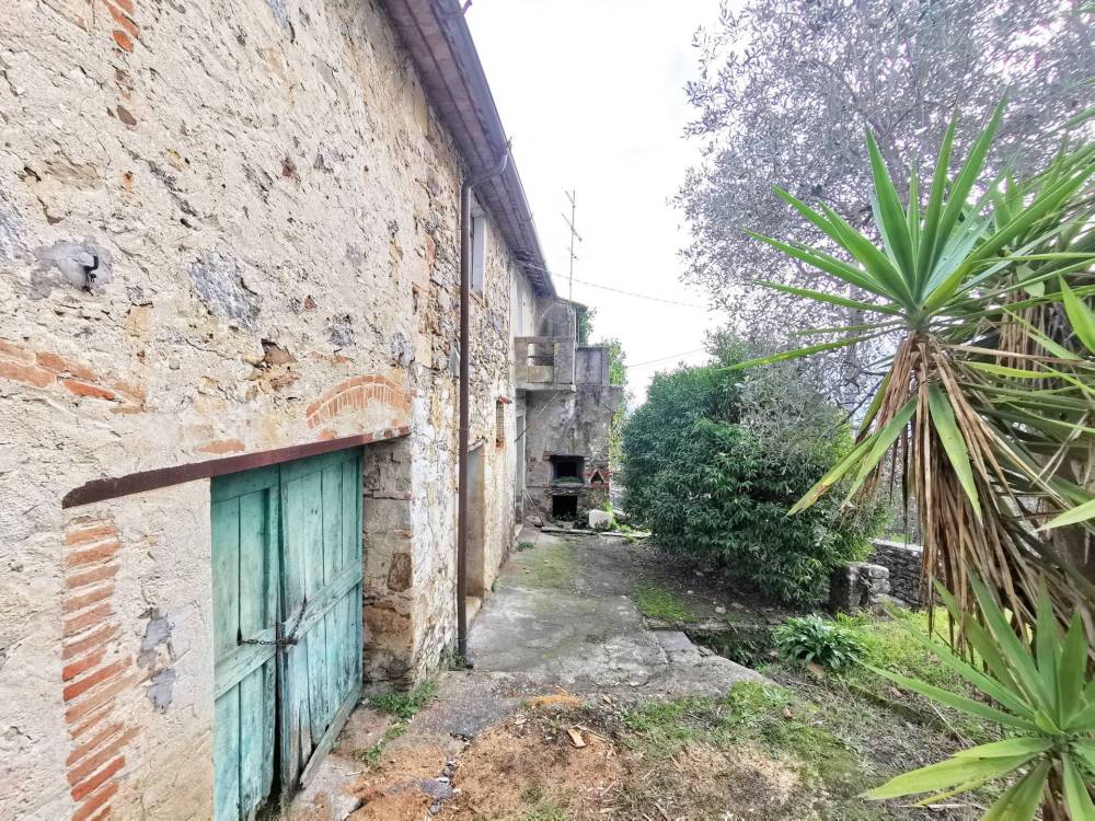 immagine annuncio 9 di 13