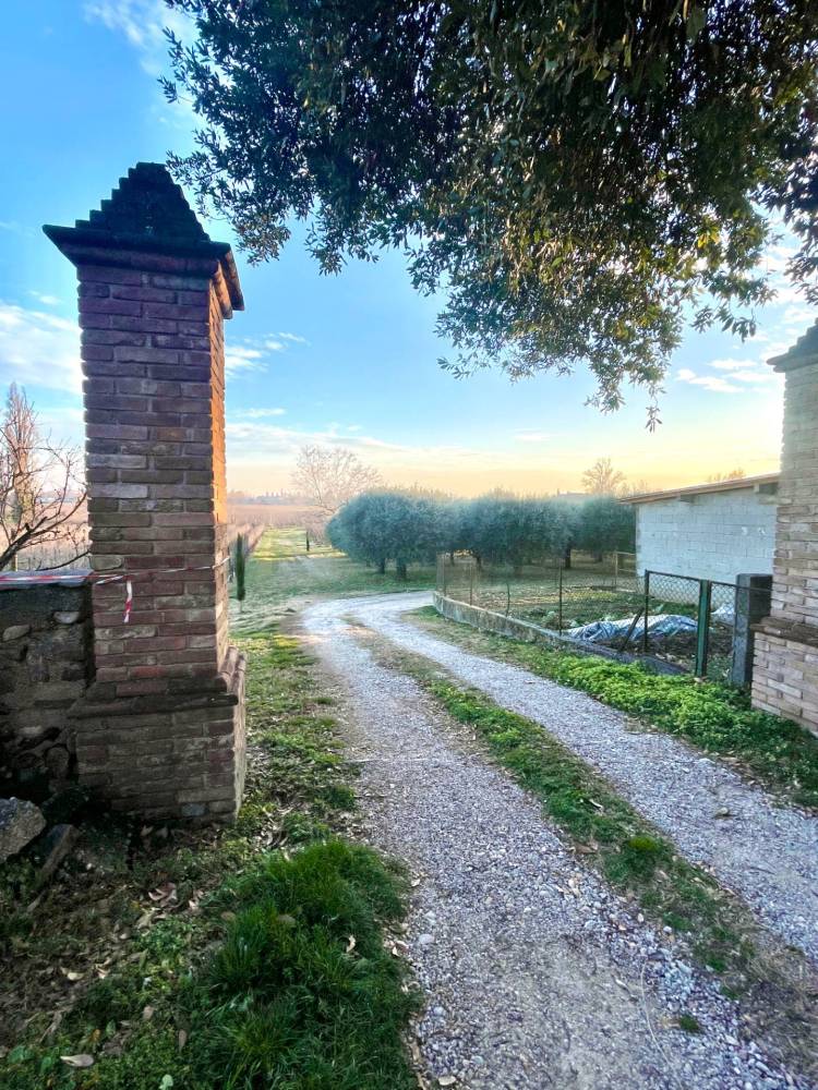 immagine annuncio 11 di 14