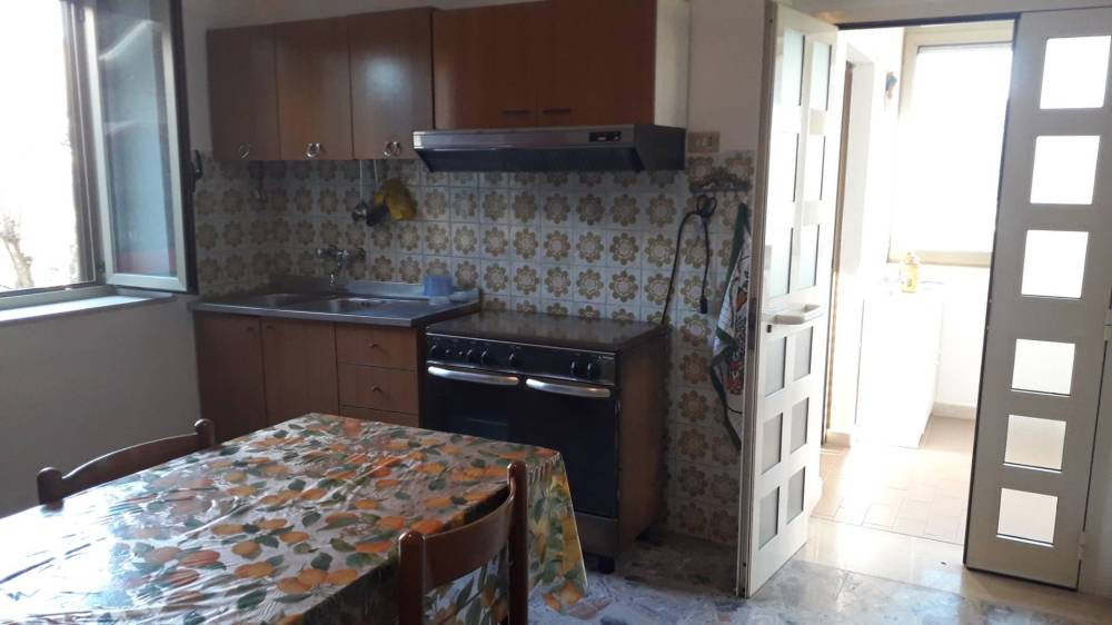 immagine annuncio 11 di 13