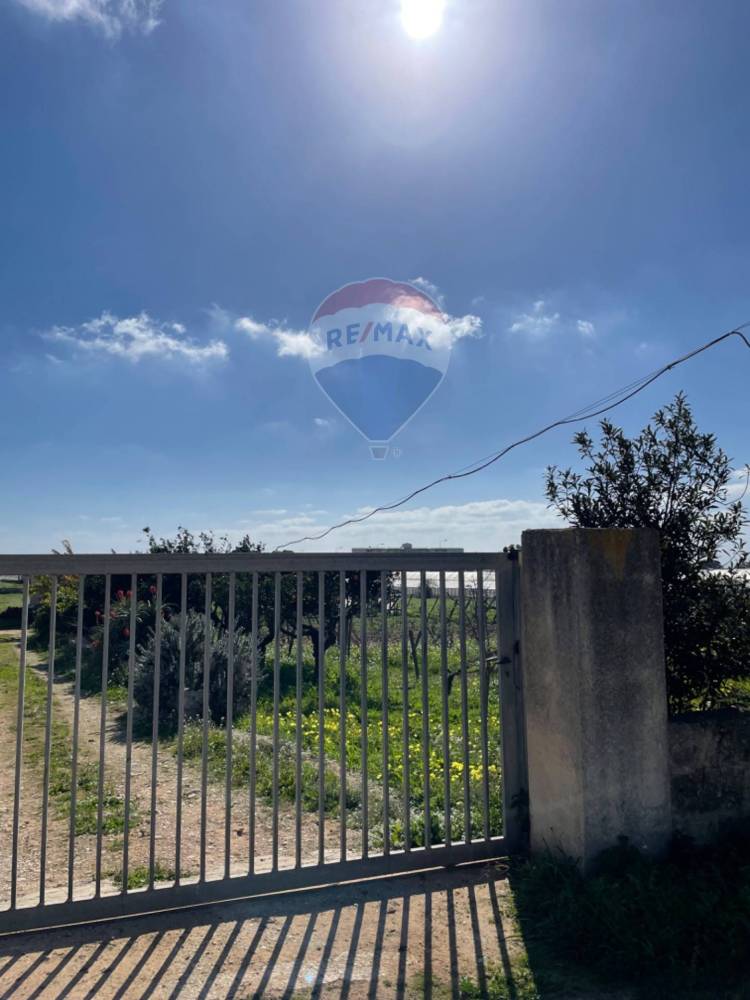 immagine annuncio 6 di 14